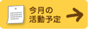 今後の活動予定